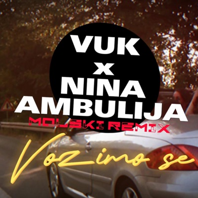 Vozimo Se (feat. Nina Ambulija) [Molski Remix] - Single