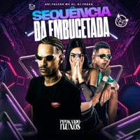Sequência da Embucetado - Single - Mc ZL, ARI FALCÃO & DJ TRAKA