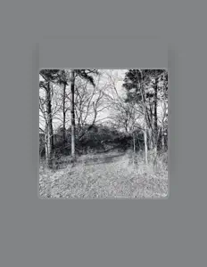 uhnoah सुनें, म्यूज़िक वीडियो देखें, बायो पढ़ें, दौरे की तारीखें और बहुत कुछ देखें!