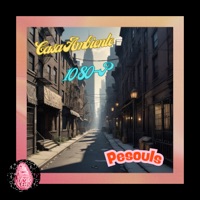 Pesouls - Single - Casa Ambiente, 1080-P & Prickly Pear Records