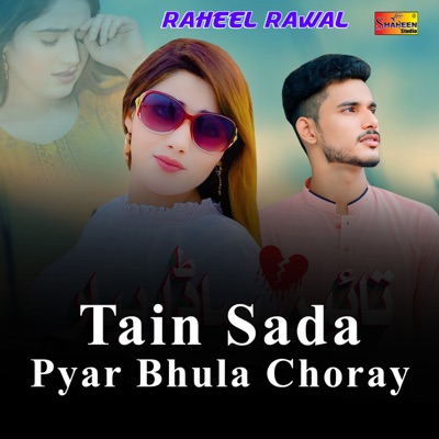Tain Sada Pyar Bhula Choray - Single