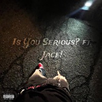 Is You Serious? (feat. Jace!) [Remix] - Single - sk!wintr