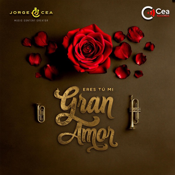 eres tu mi gran amor