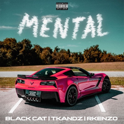 Mental (feat. Tkandz) [Rkenzo Remix] - Single