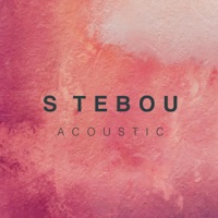 S tebou (feat. Jakub Děkan) [Acoustic] - Single - Hank & ATMO Music
