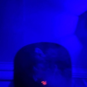 the function song (feat. shadyonyoblock)