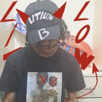 LIT/L0W (feat. Oshinmane) - Single - Bandsii