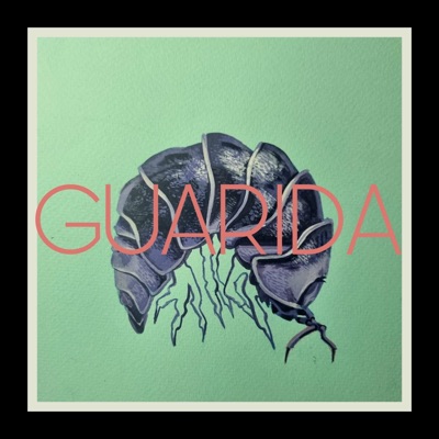 Guarida