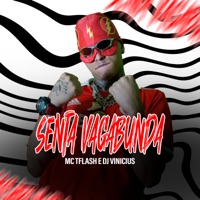 Senta Vagabunda - Single - MC TFlash & Dj Vinicius Oliveira