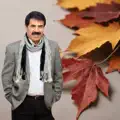 DU