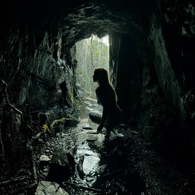 Wand'l ich in dem Wald des Abends (feat. Fanny Mendelssohn) - Single