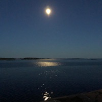 Oltremare - Single - Somniacs & bzur