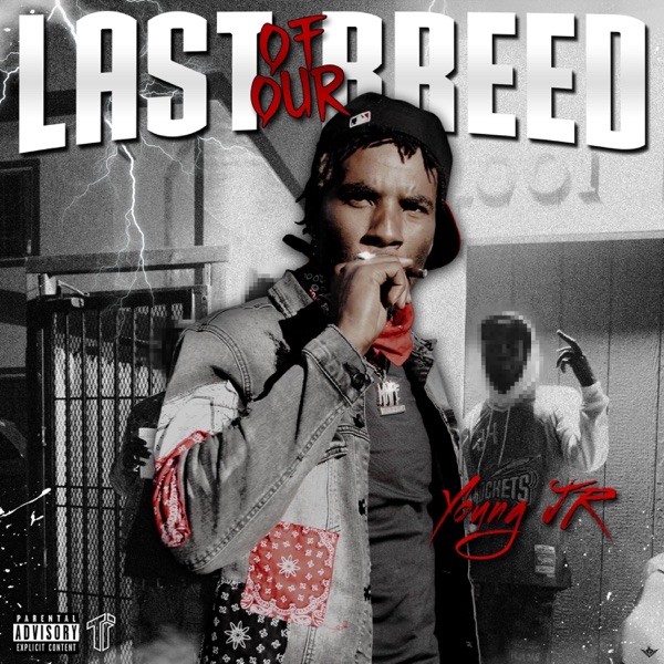 Last of Our Breed cover art