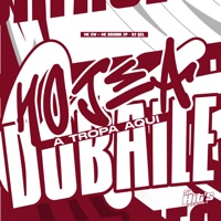 Hoje a Tropa Aqui do Baile - Single - DJ QZL, mc brunin jp & MC GW
