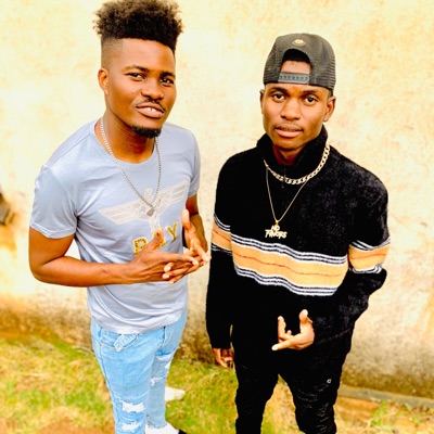 Ndodiwa (feat. Skillful) - Single