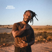 Letters I Never Wrote Home