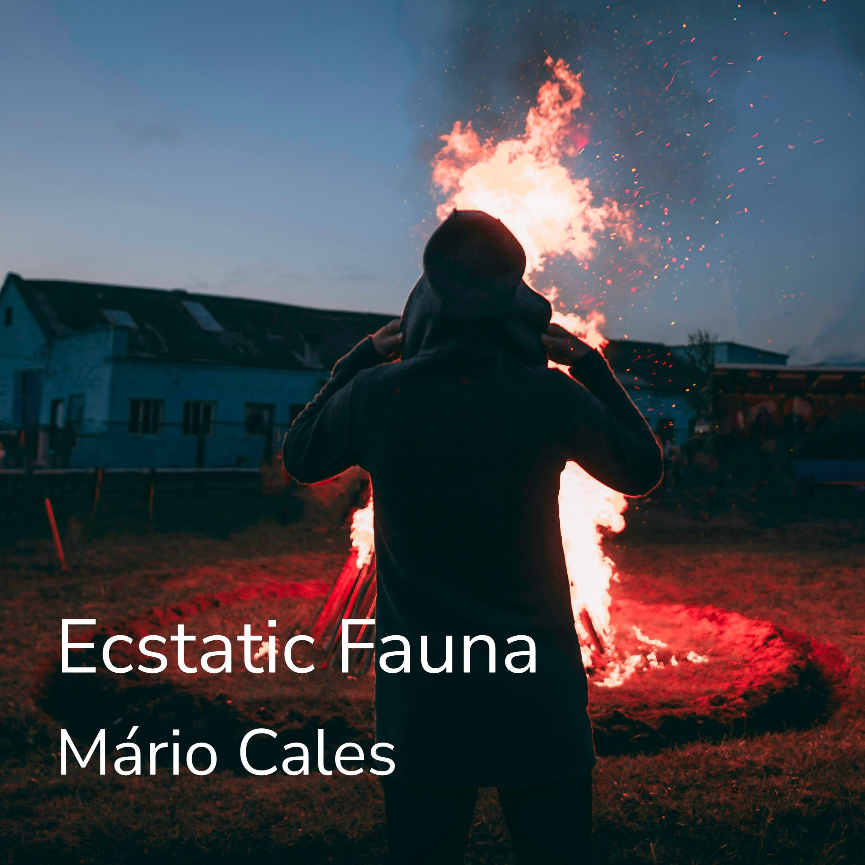 Ecstatic Fauna - Single
