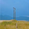 Full Swing