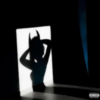 PAREILLES (feat. Flittiy) - Single - DIIGA