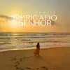 Aline Brasil - Obrigado Senhor