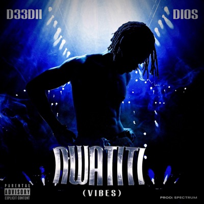 Nwatiti (Vibes) (feat. DIOS) - Single
