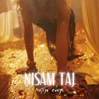 Nisam taj