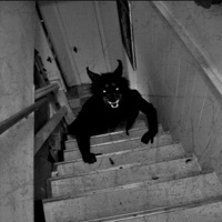 chase - Single - mistarulze!