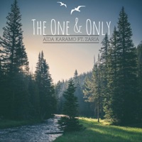 The One & Only (feat. Zaria) - Single - Aida Karamo