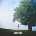 Galactic Mist