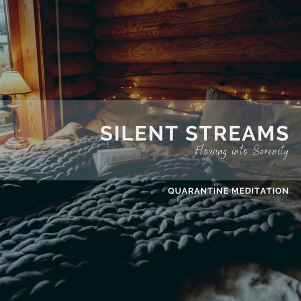 Silent Streams: Flowing into Serenity