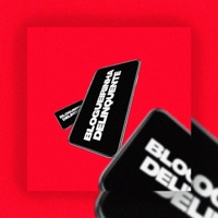 Blogueirinha Delinquente (feat. Mc 7 Belo & Mc Gordinho do Catarina) - Single - DJ Danilinho Beat