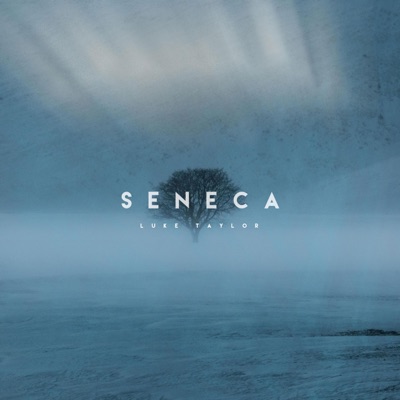 Seneca (Novo Amor Ambient Instrumental) - Single