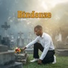 Li john - Bindenze