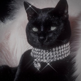 Gata Ganster Empyre00