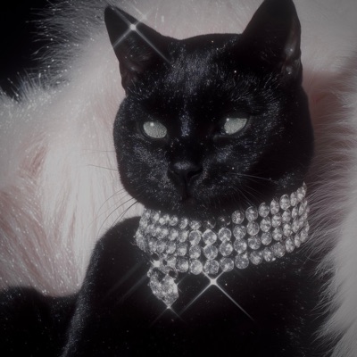 Gata Ganster - Single