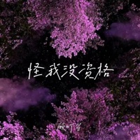 怪我没资格 - Single - 顾叮当