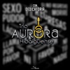 TRIO AURORA HIDALGUENSE