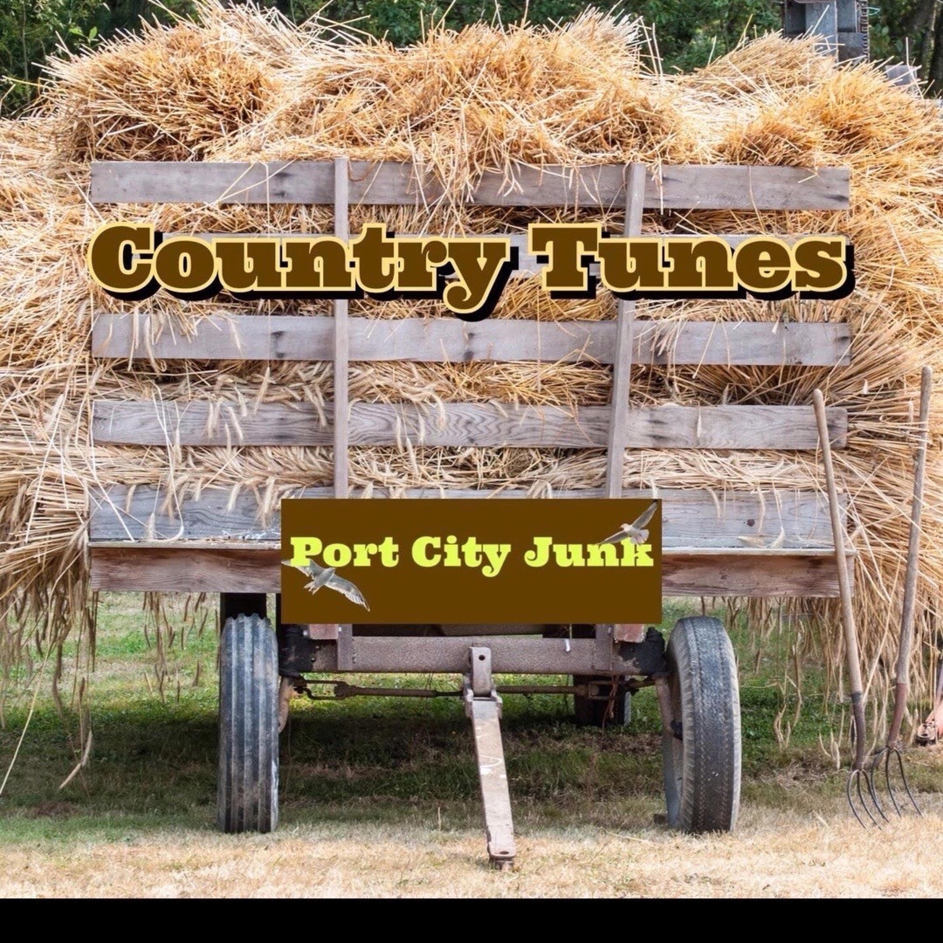 Country Tunes - Single