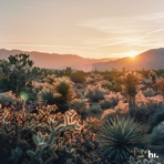 Sun Is Up - Single