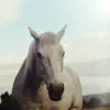 We Rise And Fall