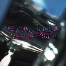 The Girl With The Dragonfly Tattoo (feat. Billy Got Waves) [Single Version] Tzusan