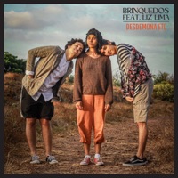 Brinquedos (feat. Liz Lima) - Single - DESDEMONA ETC