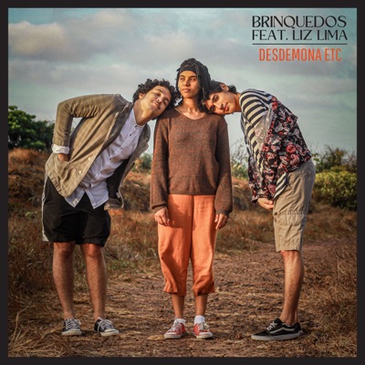 Brinquedos (feat. Liz Lima) - Single