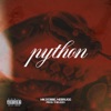 Python (feat. Nebrugg & Theuzzo) - Single