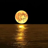 Moonlight - Single - Wrexx Wright