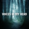 Voices In My Head - EP