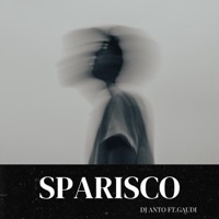 SPARISCO  (feat. Gaudi) - Single - DJ ANTO