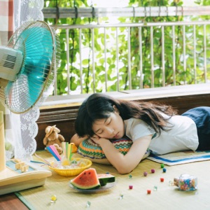 fan - Single