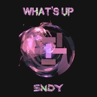 What's Up - EP - SNDY