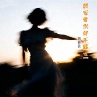想说爱你却不能说 (语录版) - Single - 安儿陈